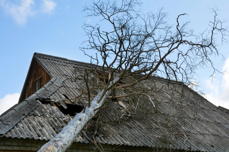Wind Damage Repair